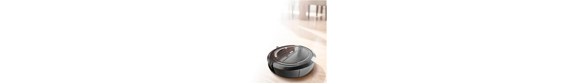 Cleaning, Vacuuming and Ironing