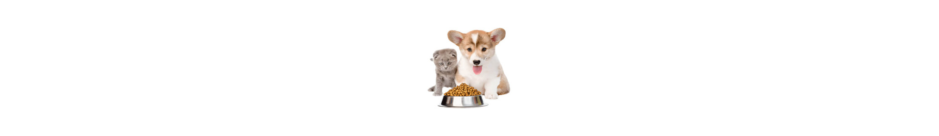 Pet food