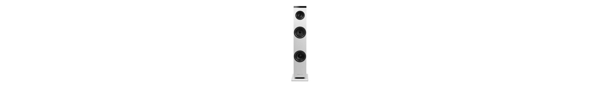 Sound Tower speakers
