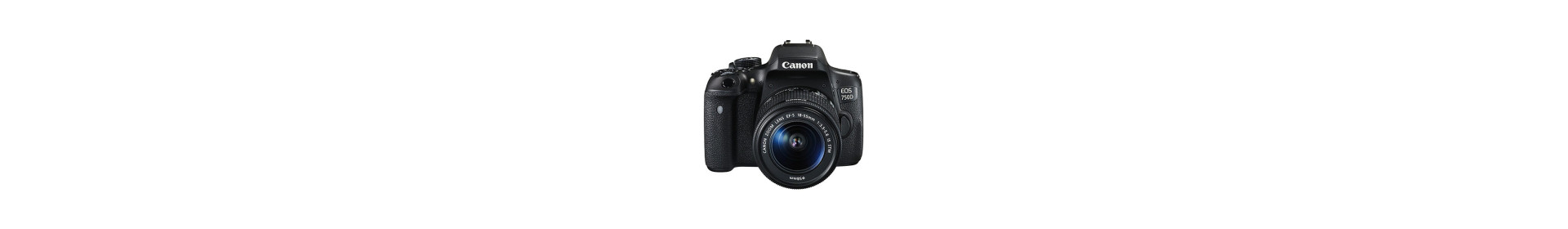 SLR cameras
