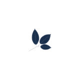 Phyto Paris