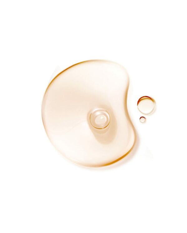 S0594943_2 S0594943_2