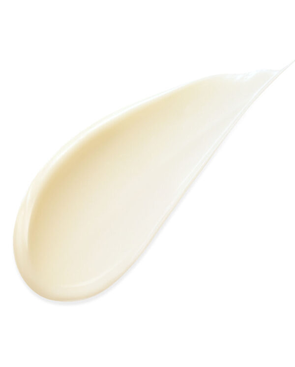 S05116912_1 S05116912_1