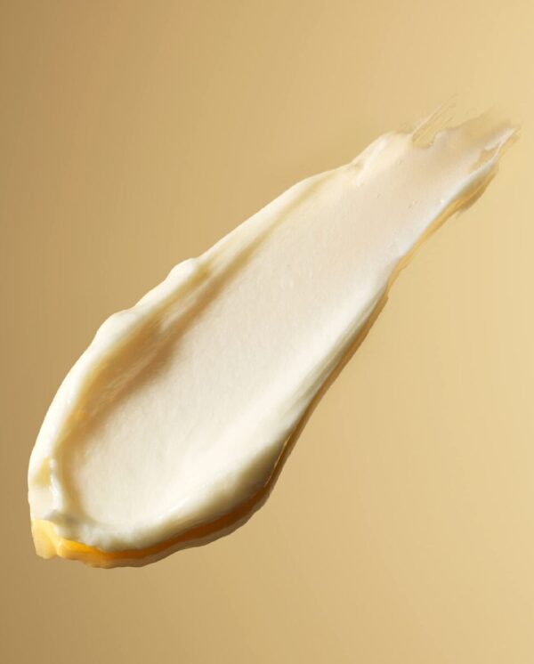 M0126464_5 M0126464_5