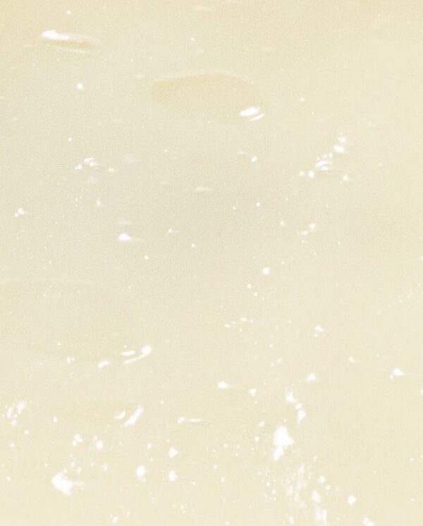 S05145448_2 S05145448_2