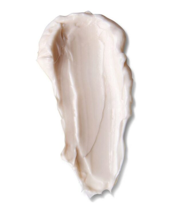 S0597538_5 S0597538_5