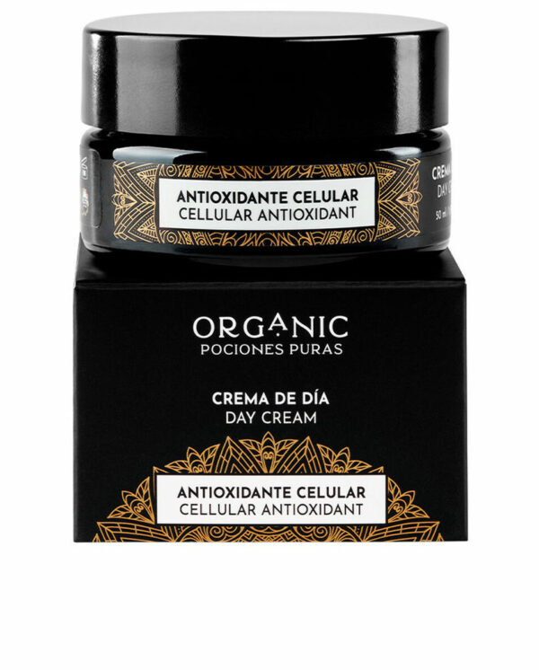 S05118531_0 S05118531_0