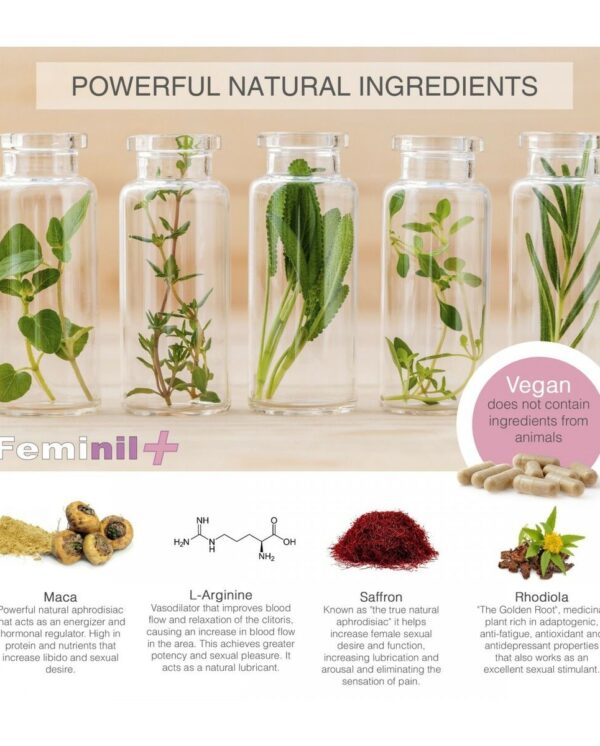 M0400000_2 M0400000_2