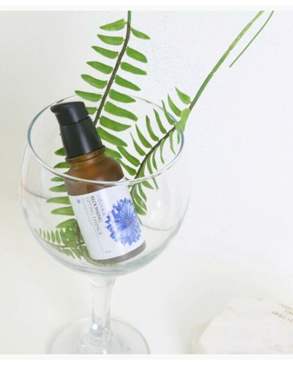 S0597246_2 S0597246_2