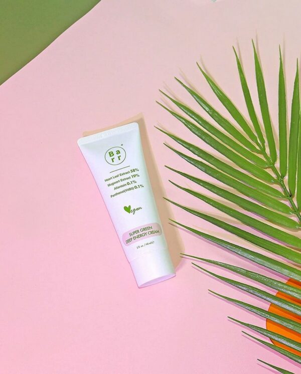 S0597256_1 S0597256_1