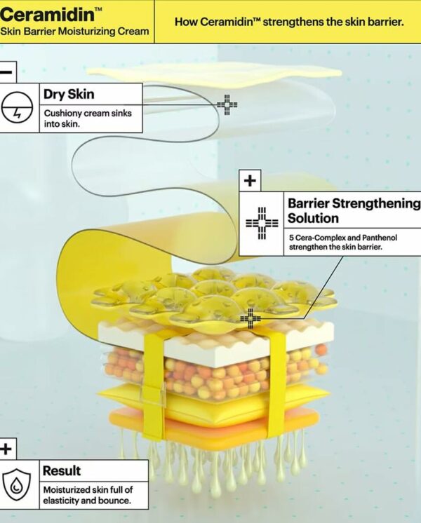 S05131264_3 S05131264_3